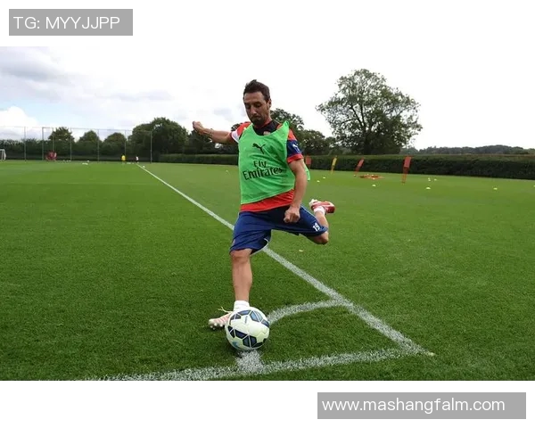 足球界惊闻哪个明星因伤被迫禁用右脚引发热议